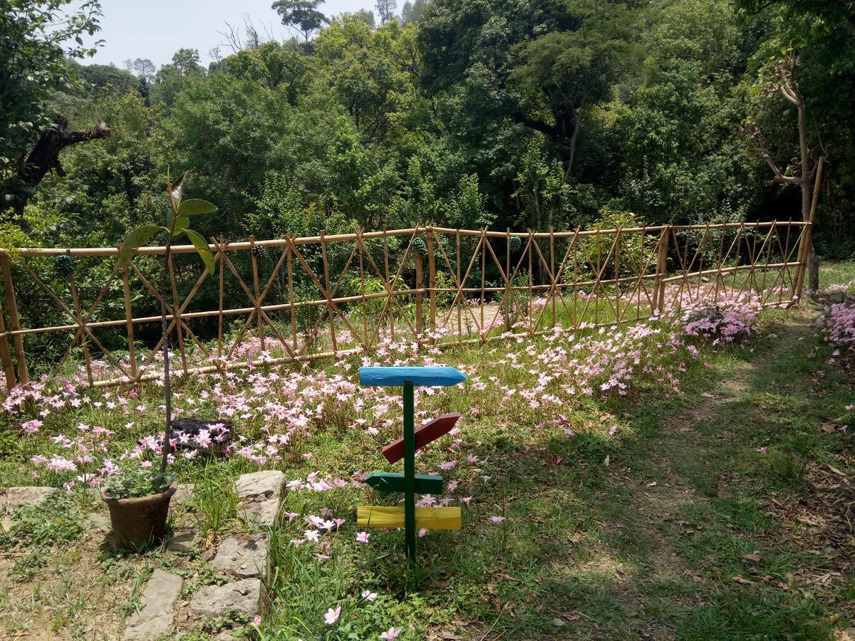Hots Nainital Hostel Patwa Dunga Kültér fotó