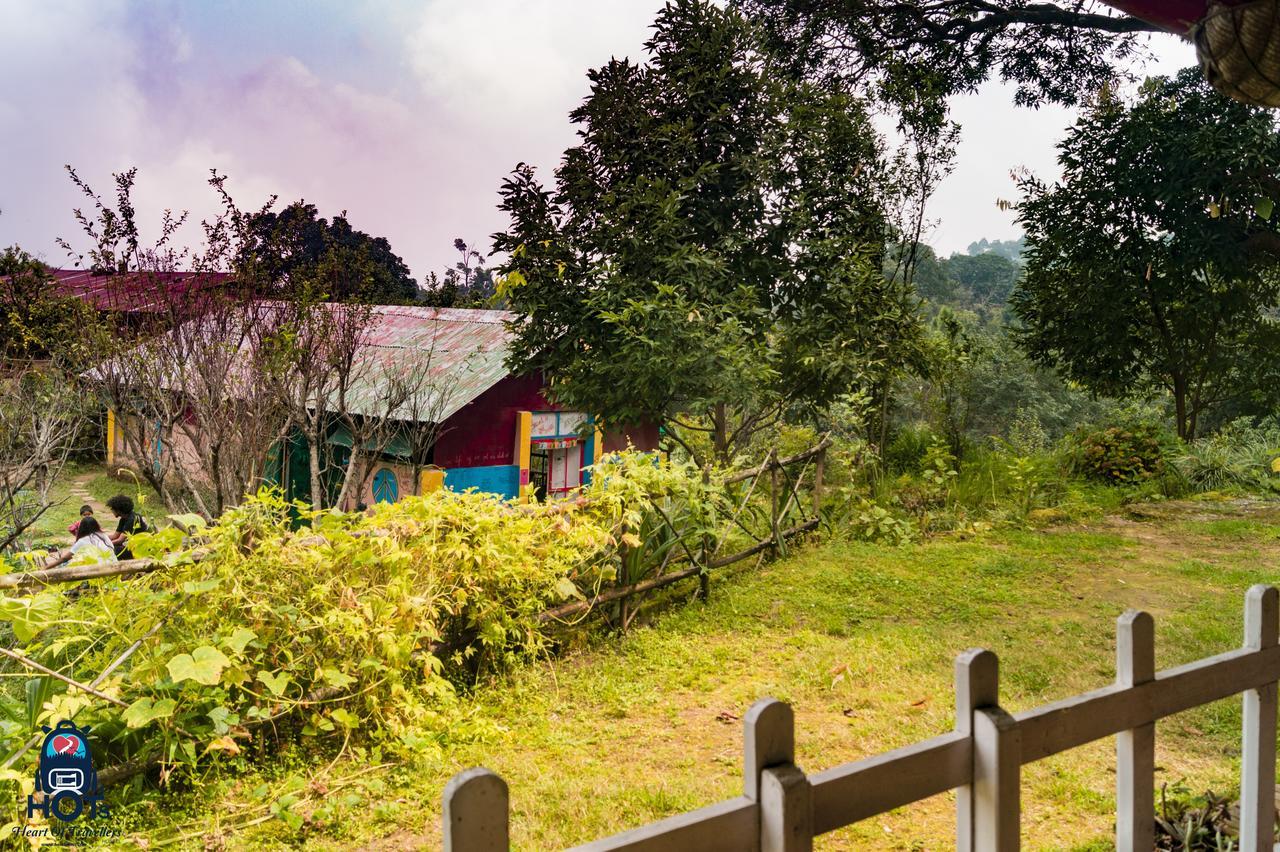 Hots Nainital Hostel Patwa Dunga Kültér fotó