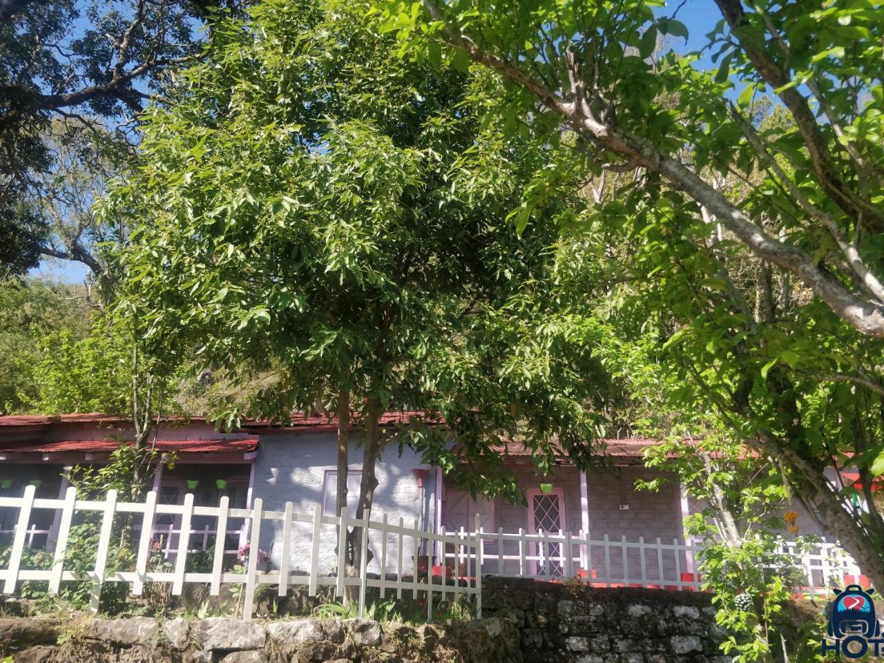 Hots Nainital Hostel Patwa Dunga Kültér fotó